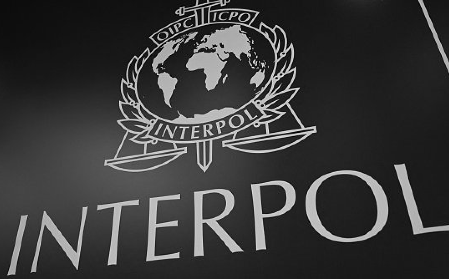 Interpol Notices